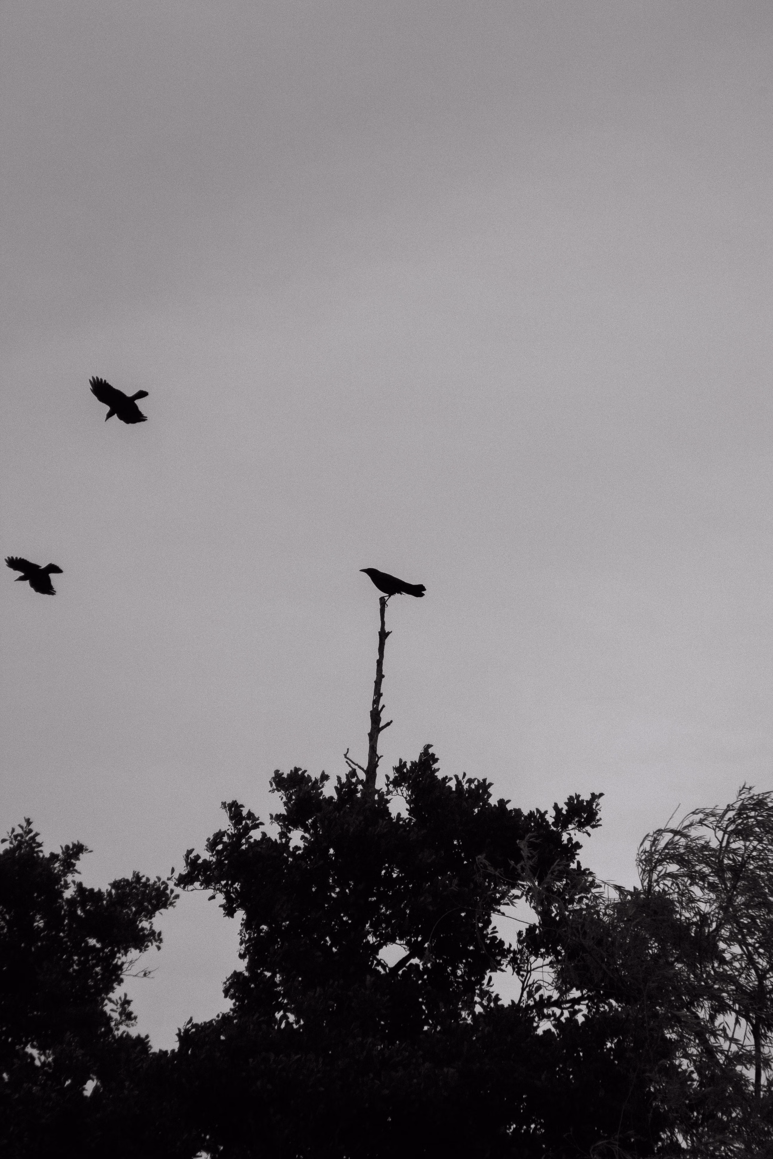 Nature Photography Images