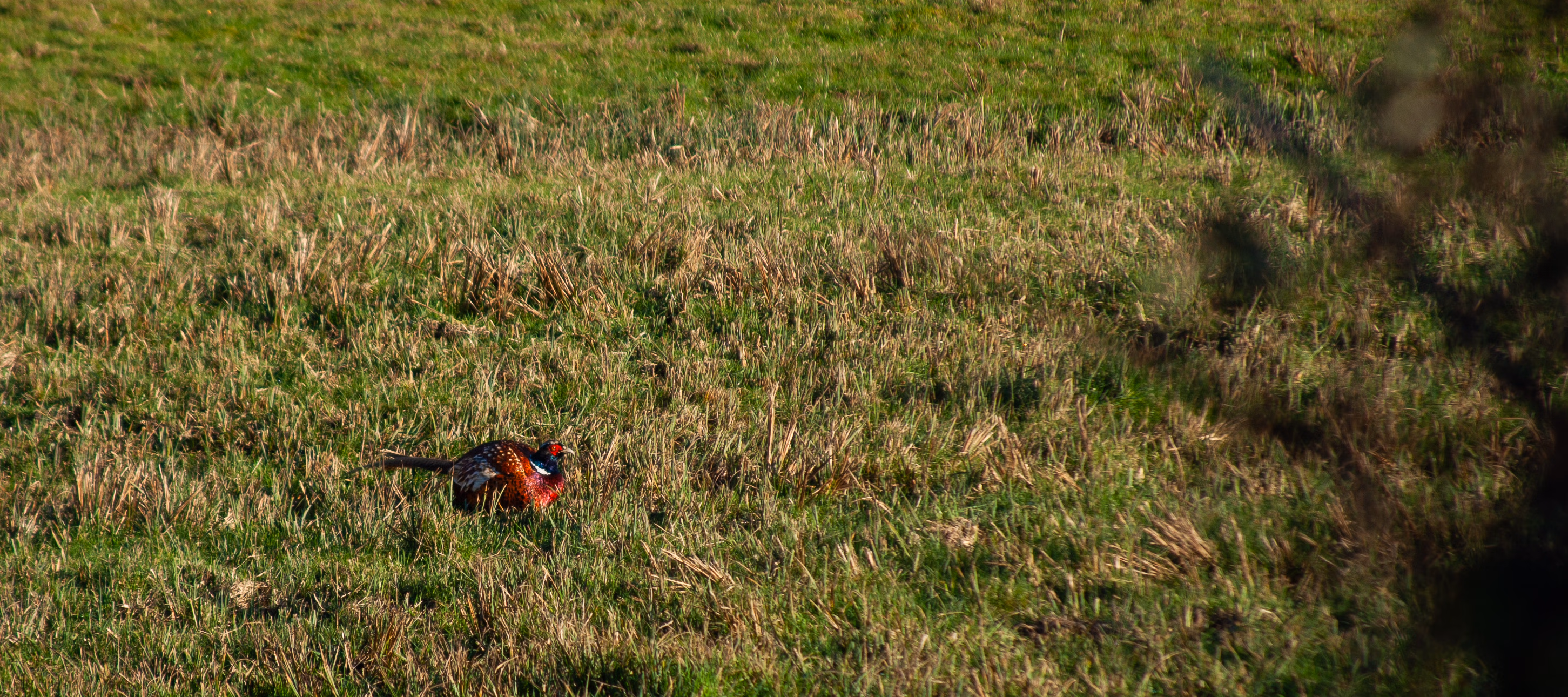 Nature Photography Images