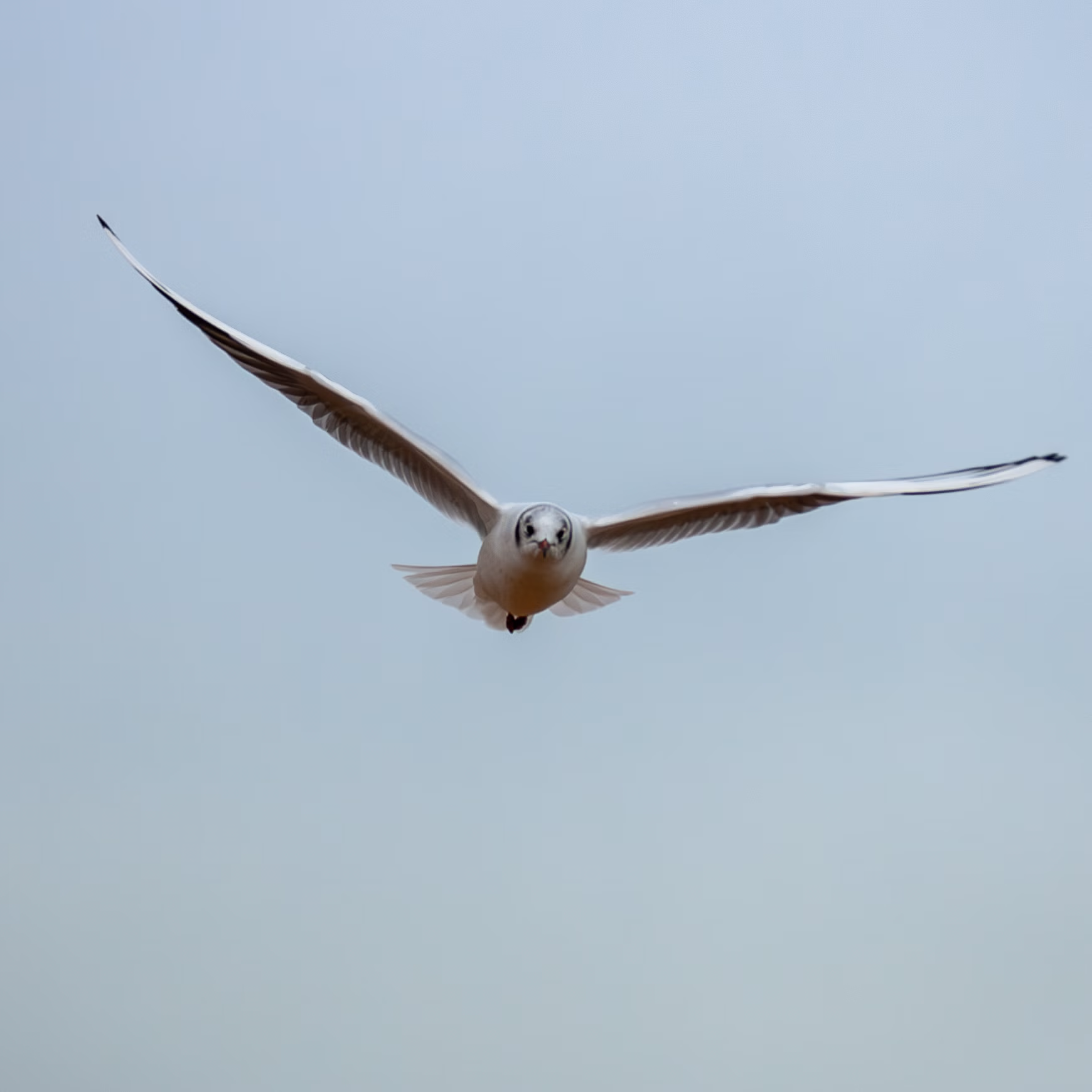 Nature Photography Images