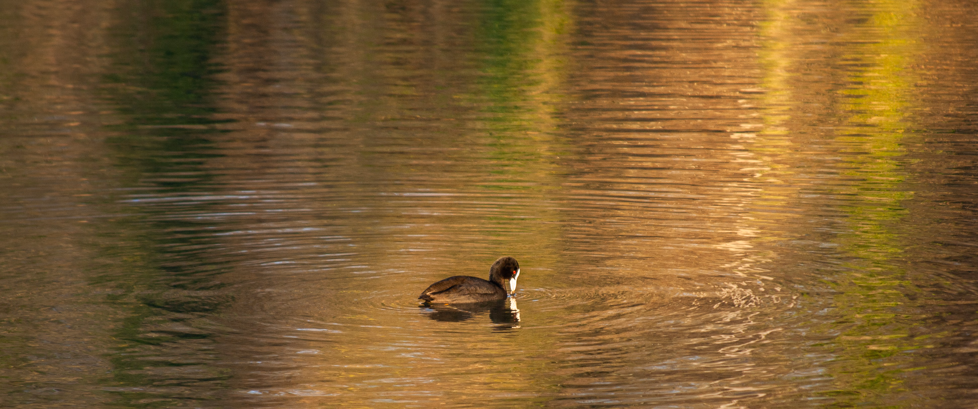 Nature Photography Images