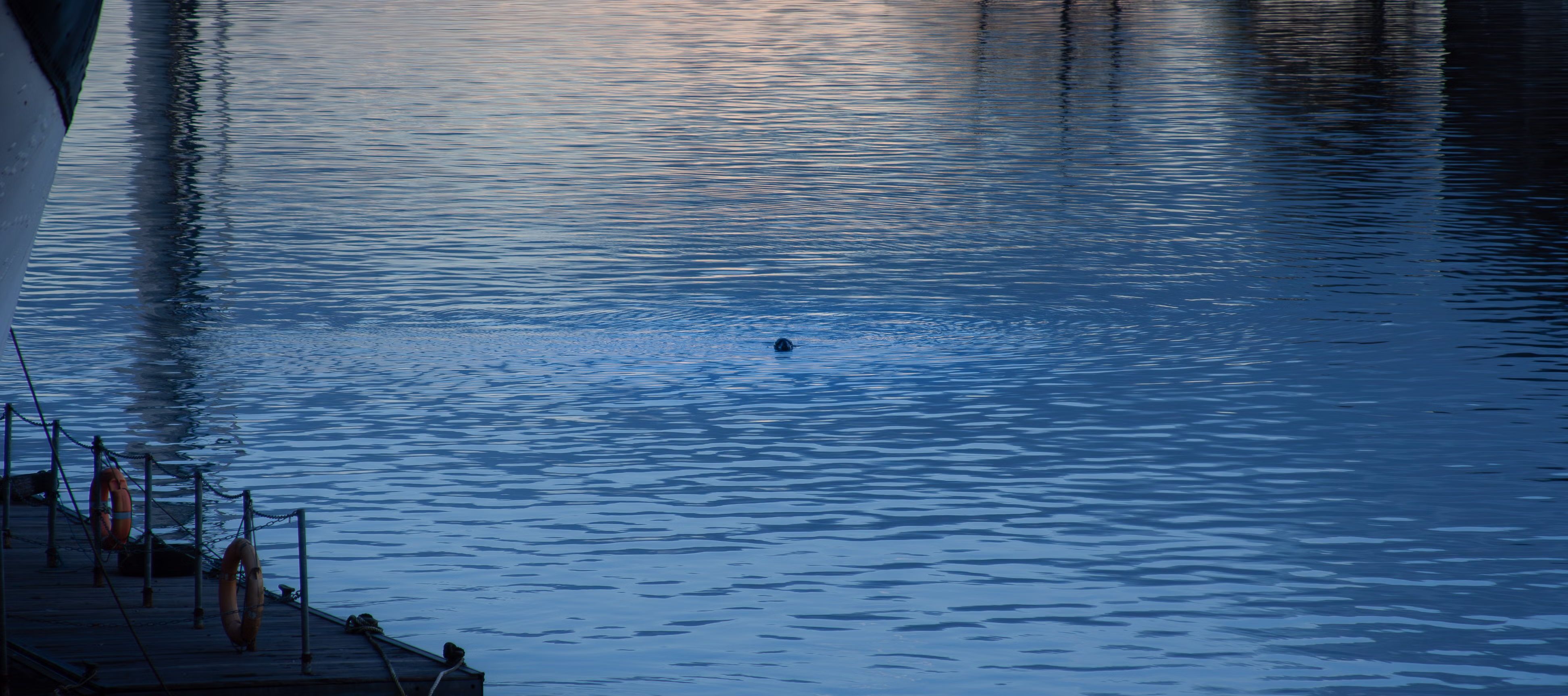 Nature Photography Images