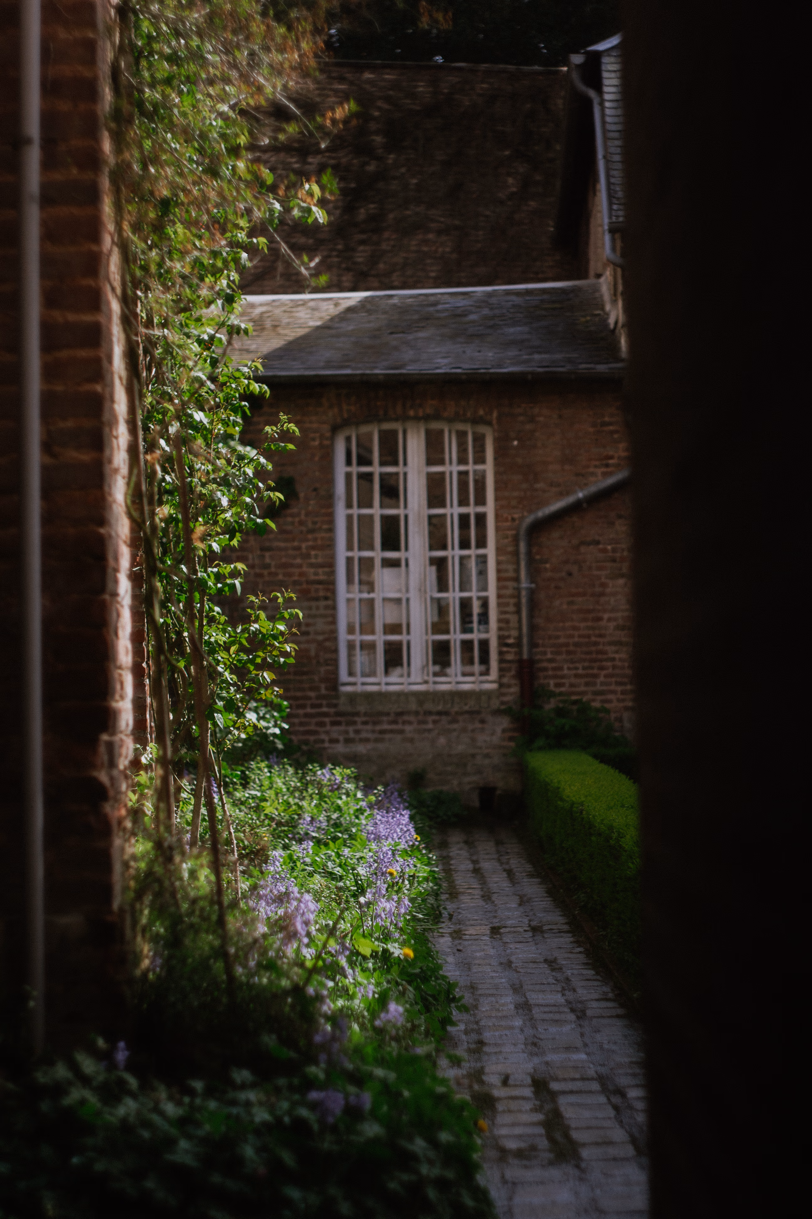 Nature Photography Images