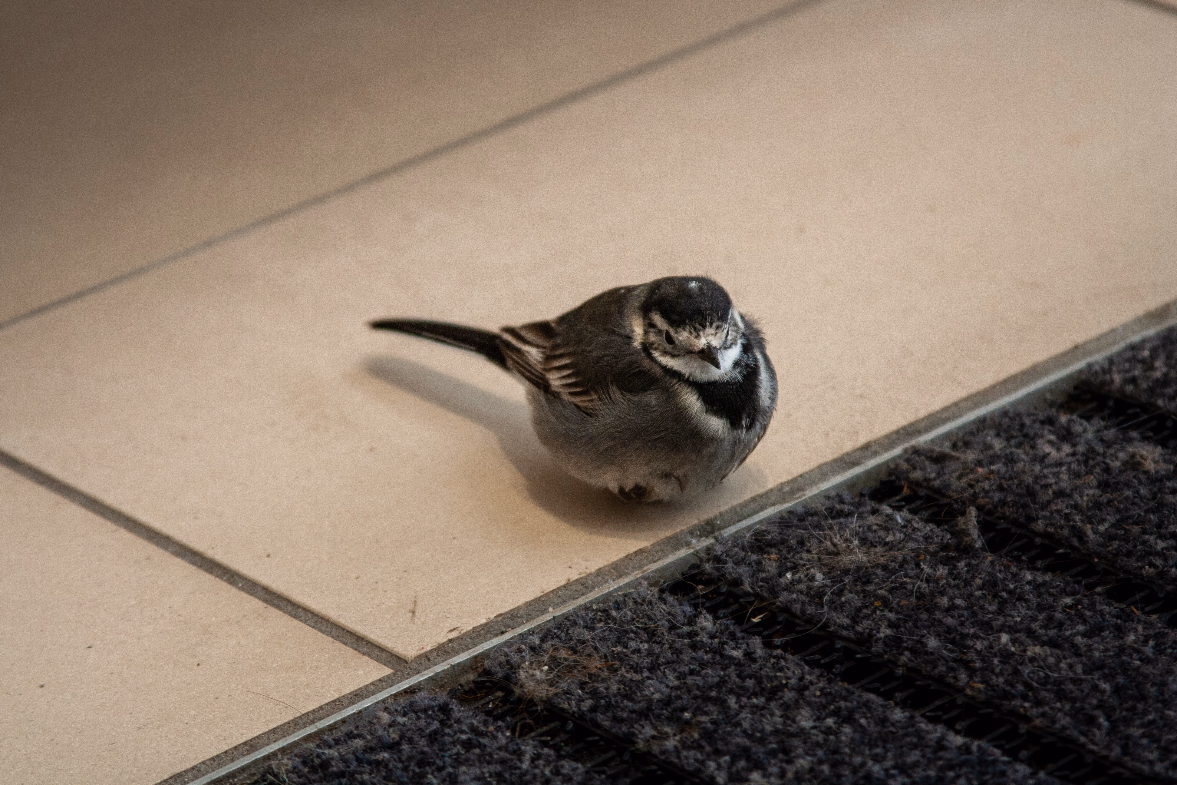 Nature Photography Images