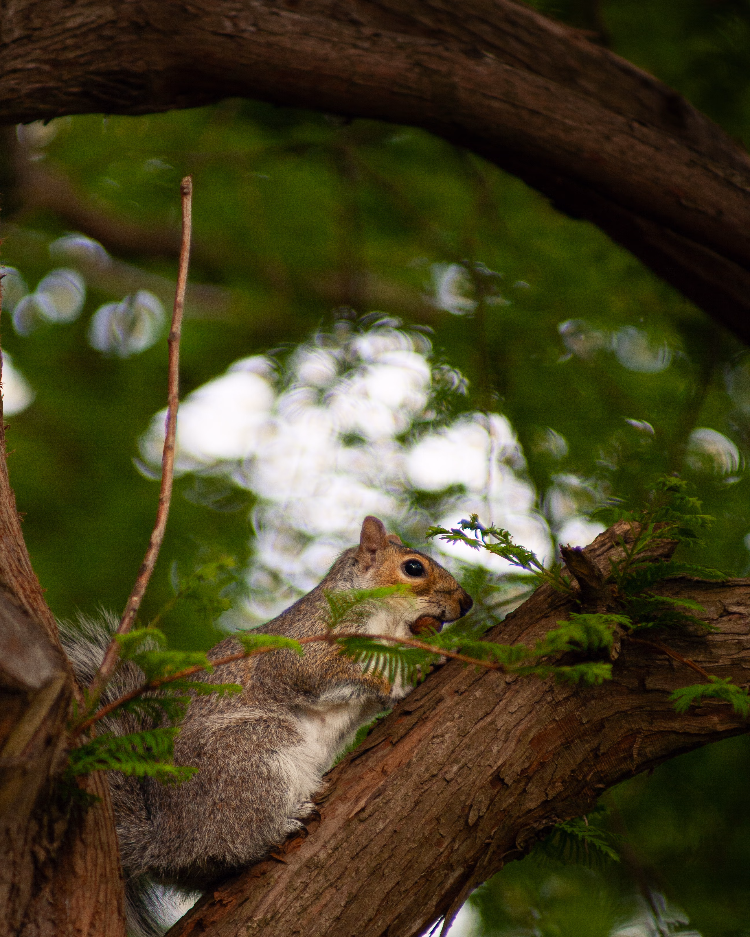 Nature Photography Images