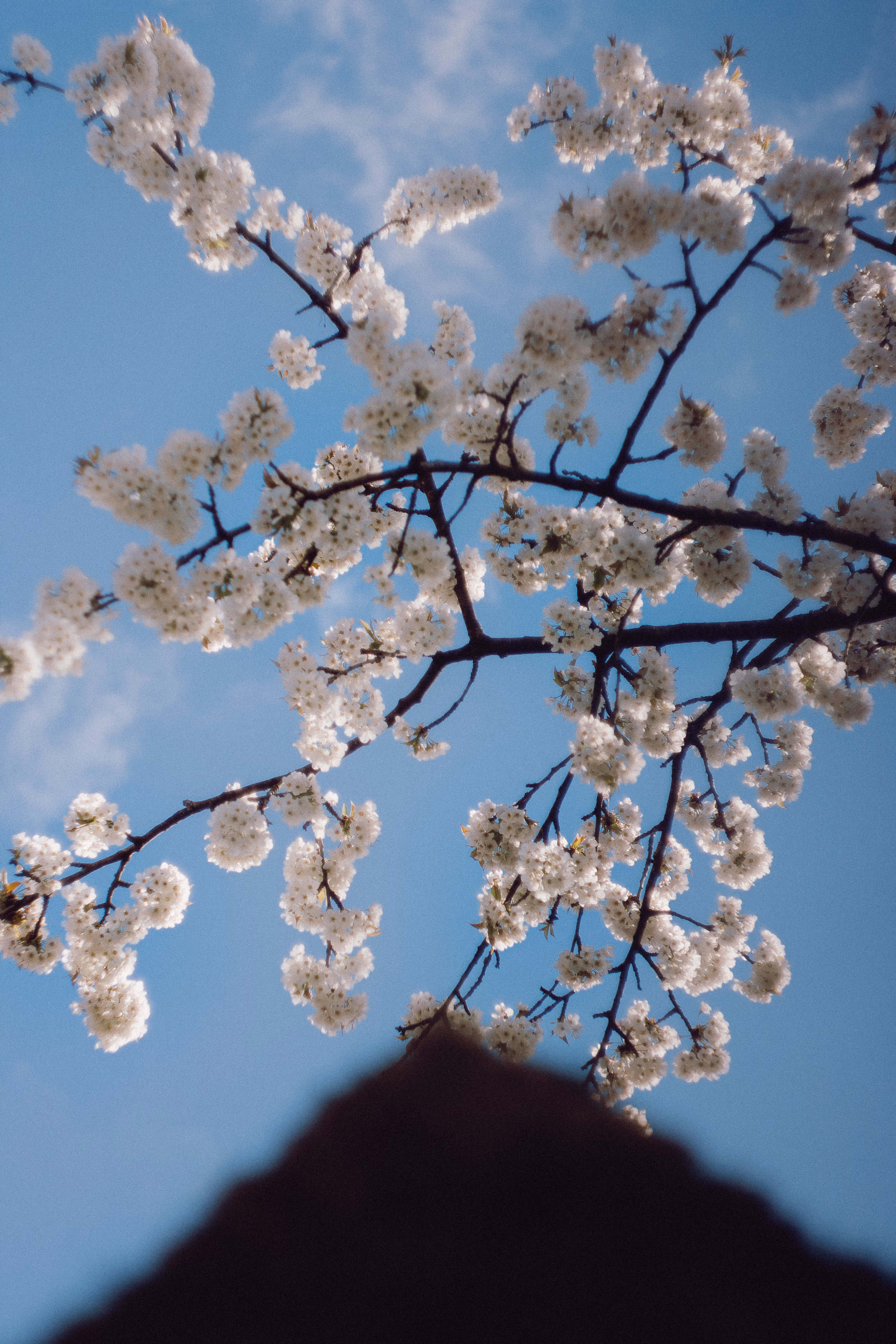 Nature Photography Images