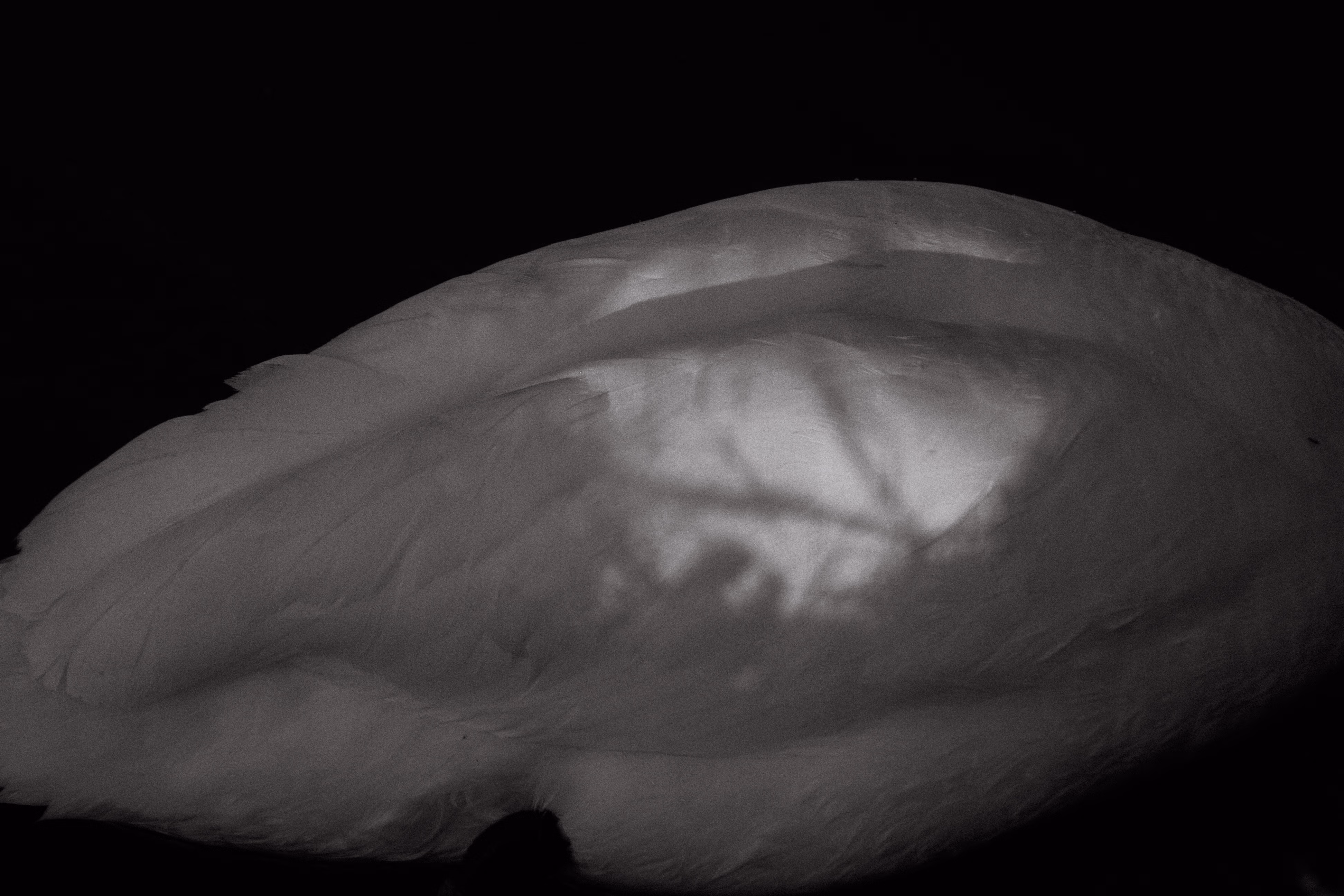 Nature Photography Images