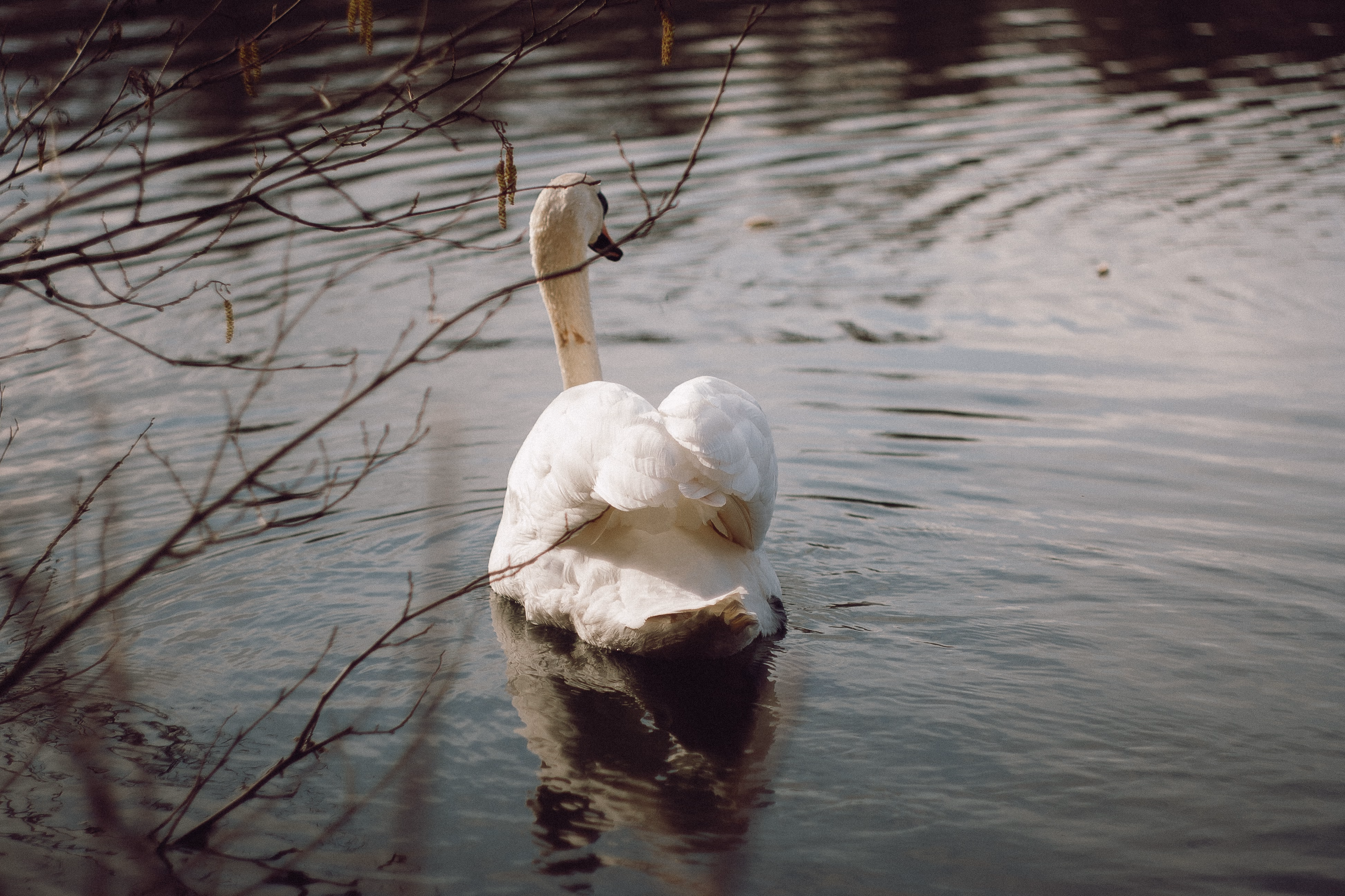 Nature Photography Images