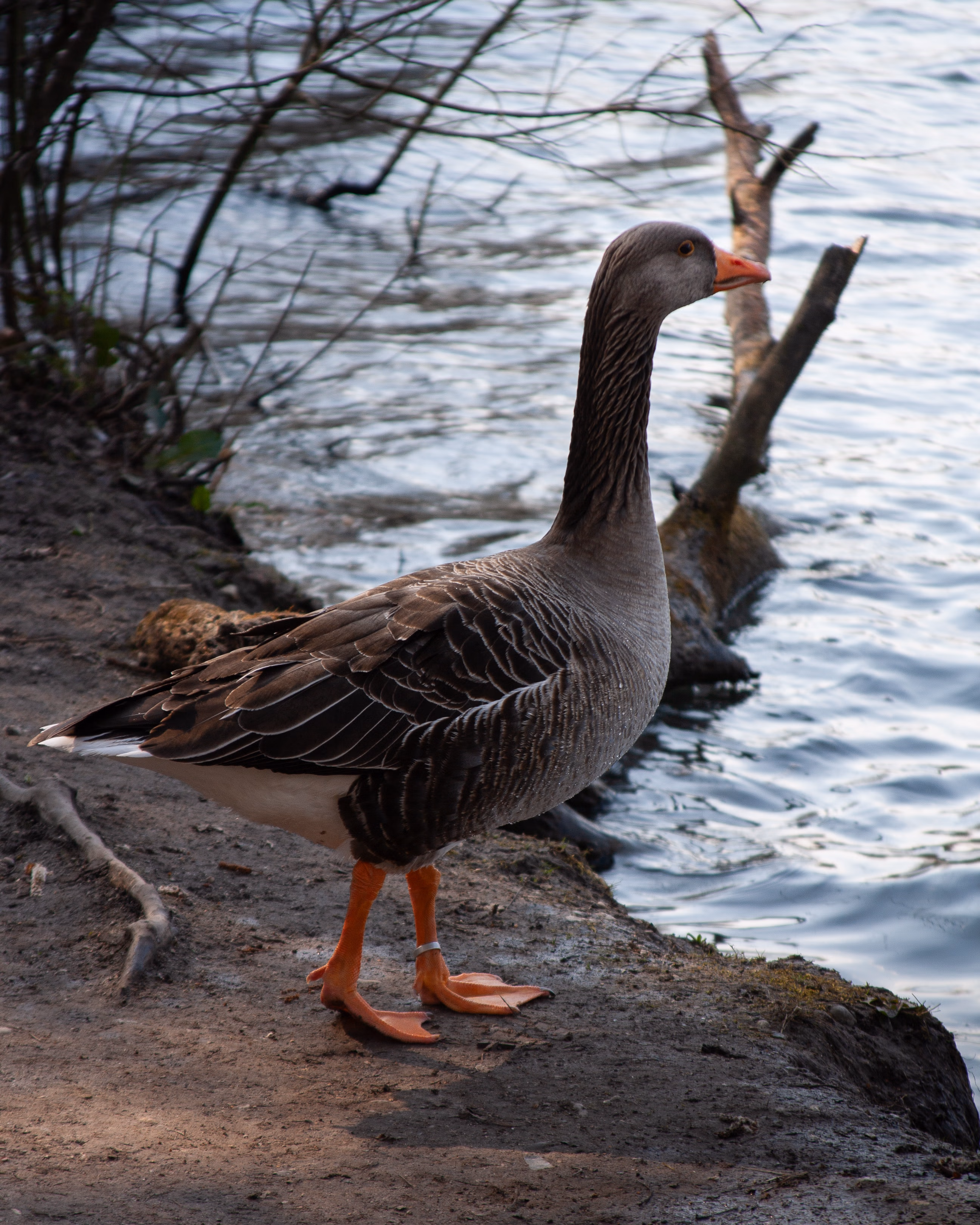 Nature Photography Images