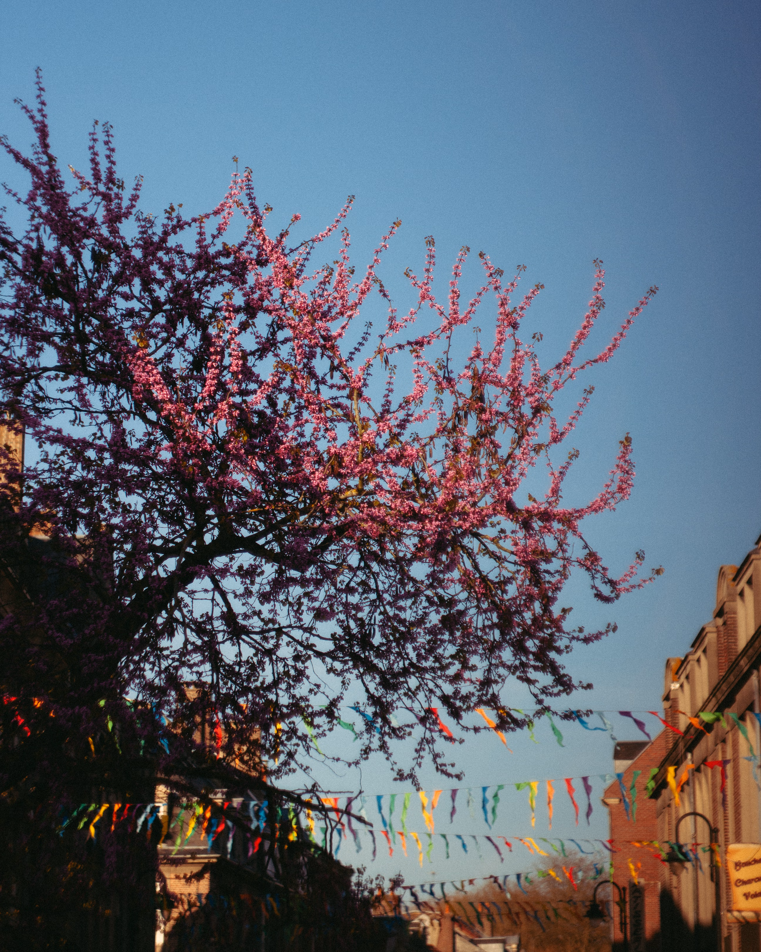 Nature Photography Images