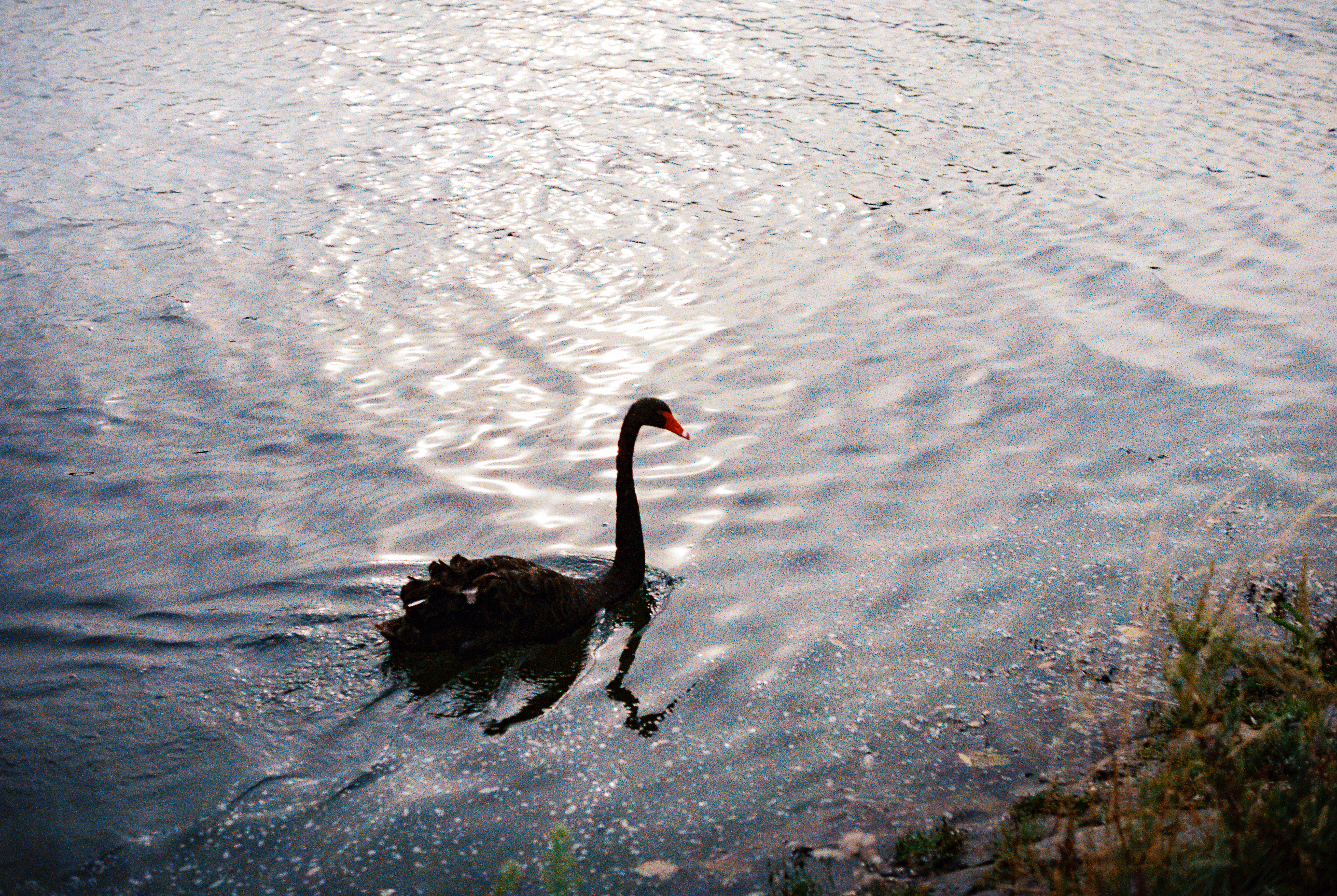 Nature Photography Images