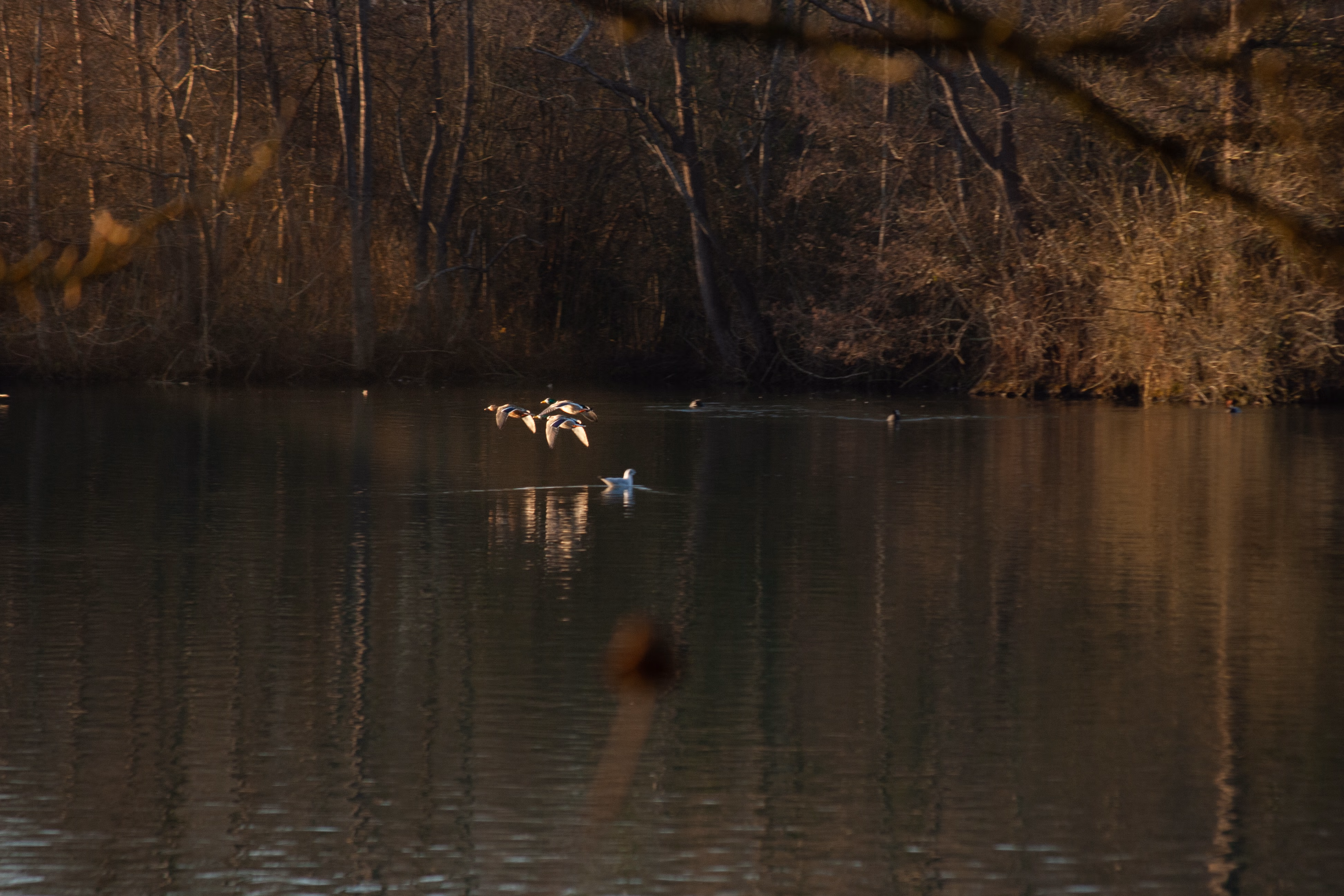 Nature Photography Images