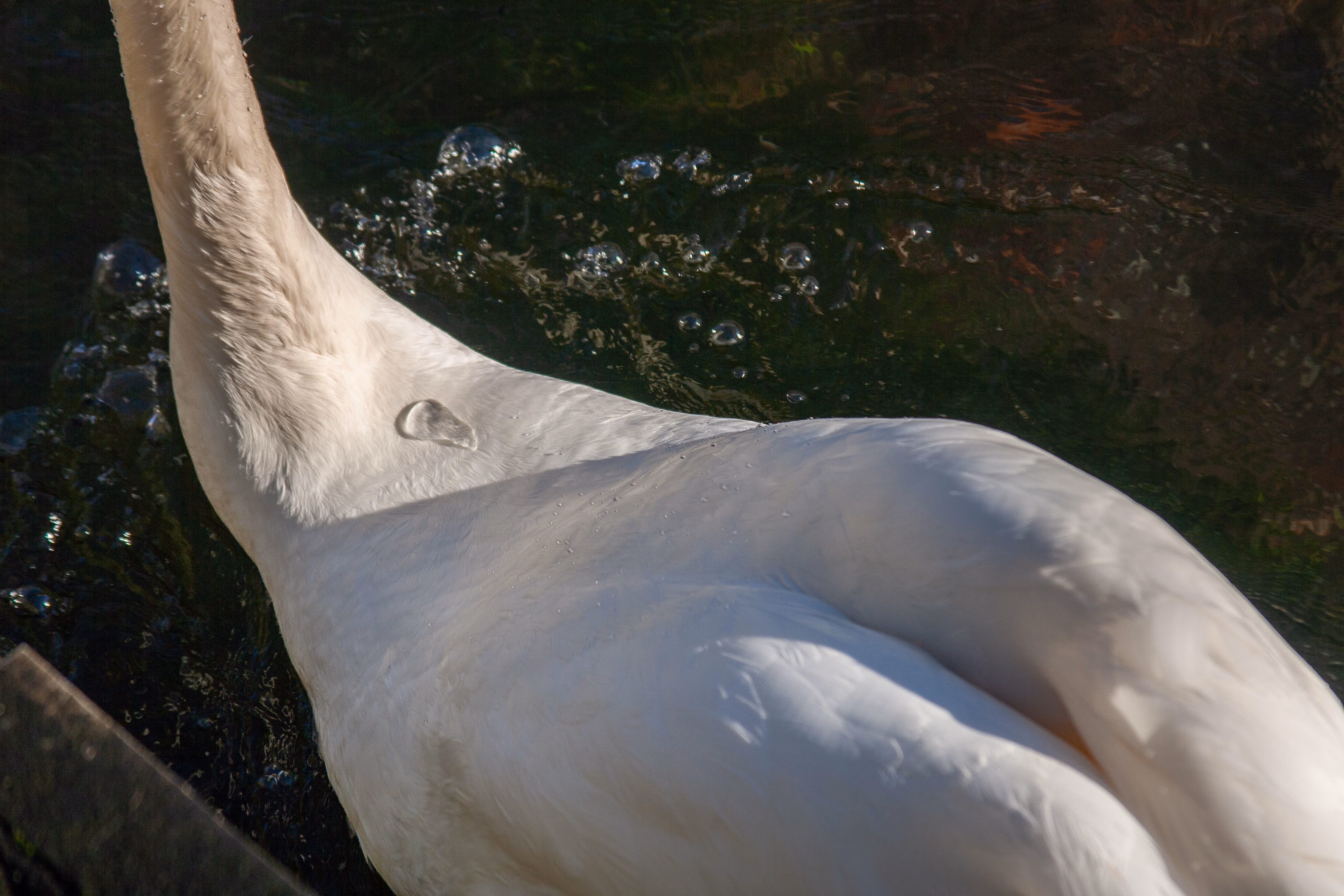 Nature Photography Images