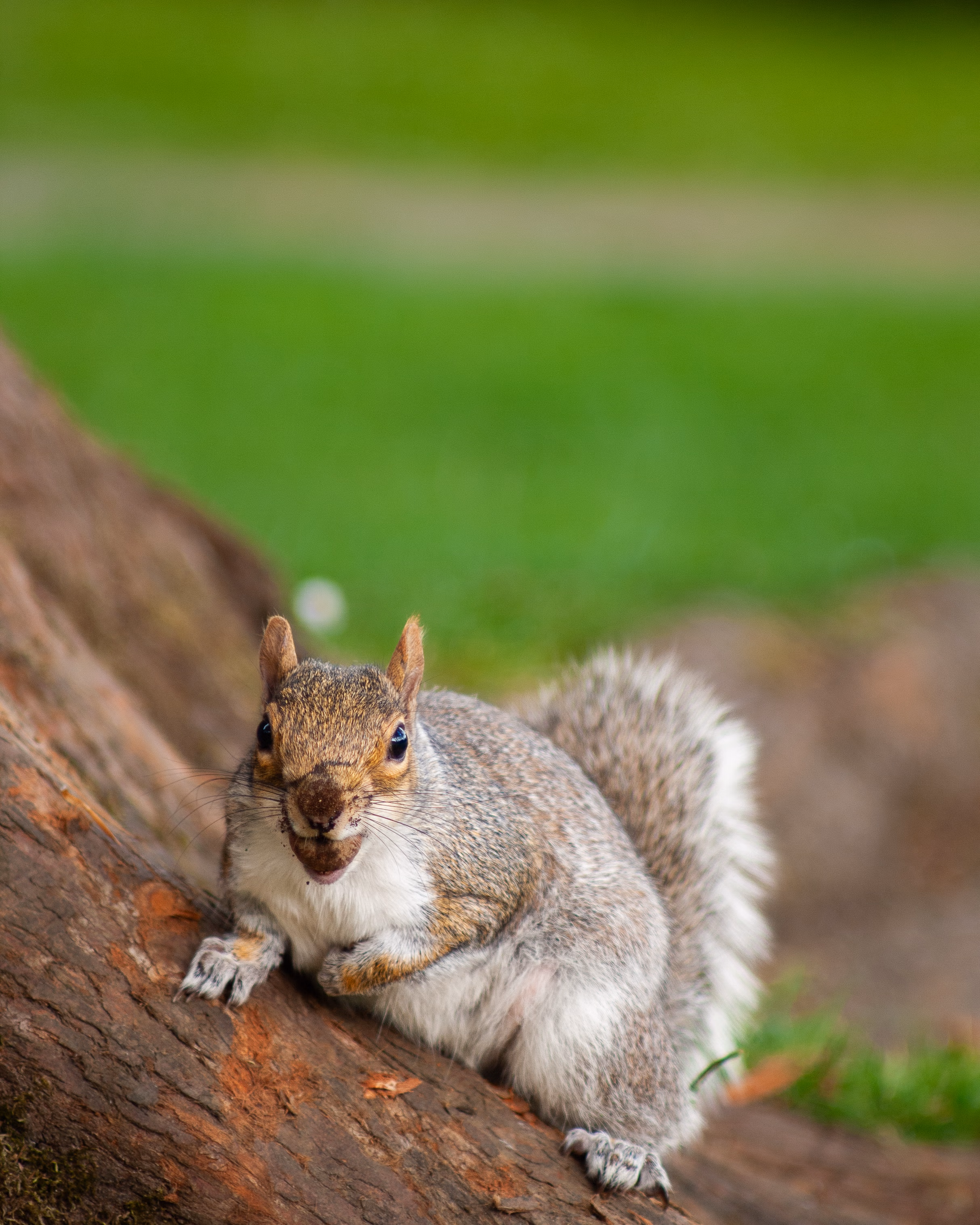 Nature Photography Images